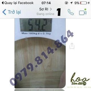 TRÀ GIẢM MỠ HOA SÂM ĐẤT
