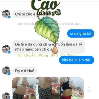 GIẢM MỠ CAO LÁ RỪNG ZN