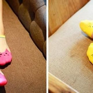 combo 5 vớ mèo xinh xắn cao cấp