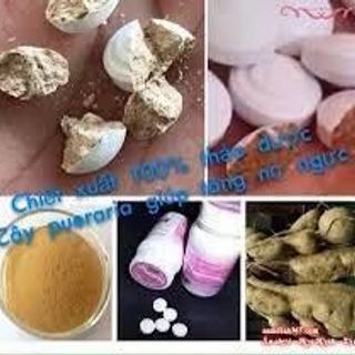 Thuốc uống nở ngực Pueraria độc quyền bệnh viện Yanhee (Thái Lan)