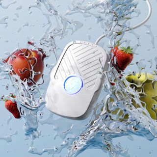 MÁY RỬA RAU CỦ QUẢ TIỆN DỤNG