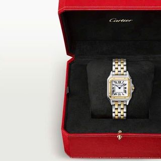 ĐỒNG HỒ NỮ CAO CẤP PIN NHẬT CATIƠ PANTHERE DEMI
