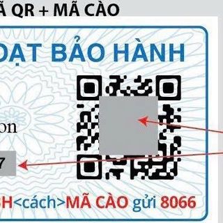 ĐỒNG HỒ NỮ CAO CẤP DANIEL W PETITE ROMAN NUMERALS DÂY THÉP MẶT TRÒN