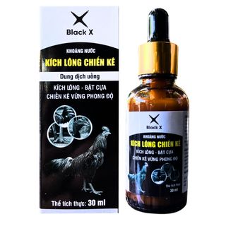 Kích Lông Chiến Kê Black X