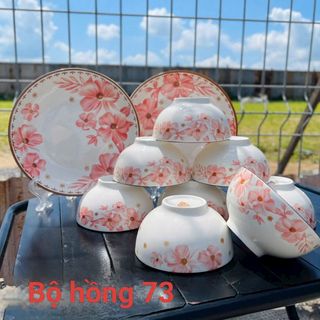 SET 10 DĨA SỨ HOA DỪA HỒNG SIZE 7 ẢO