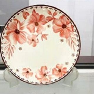 SET 10 DĨA SỨ HOA DỪA HỒNG SIZE 9 ẢO
