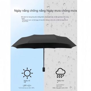 Dù 12 nan Chống Tia UV Hiệu Quả