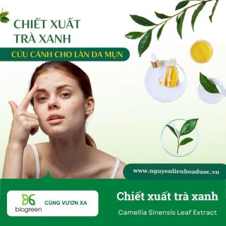 Chiết xuất trà xanh