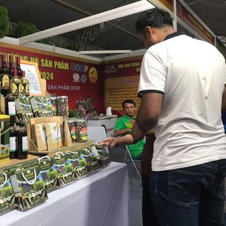 GẠO BRIÊT hữu cơ