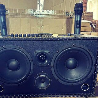 Loa Leong L8011 - 2 micro