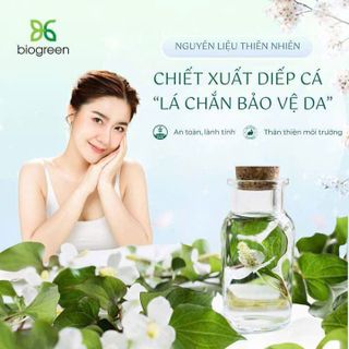 🌿 Chiết xuất Diếp cá - Lá chắn bảo vệ làn da🌿