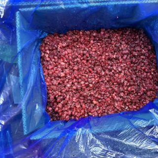 LỰU ĐÔNG LẠNH – CHUYÊN CUNG CẤP SỐ LƯỢNG LỚN CHO NHÀ MÁY, NHÀ HÀNG, QUÁN ĐỒ UỐNG