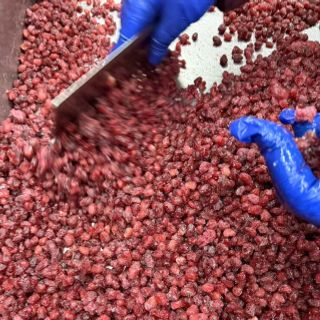 LỰU ĐÔNG LẠNH – CHUYÊN CUNG CẤP SỐ LƯỢNG LỚN CHO NHÀ MÁY, NHÀ HÀNG, QUÁN ĐỒ UỐNG