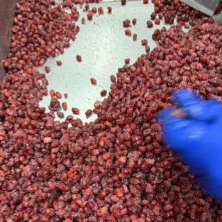 LỰU TÁCH HẠT ĐÔNG LẠNH - CUNG CẤP TRÁI CÂY ĐÔNG LẠNH