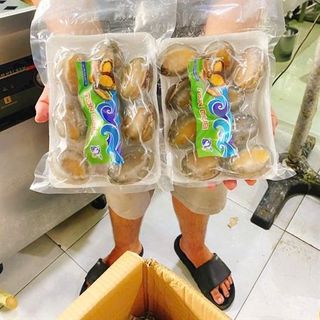 Bào Ngư (Thùng 50Kg - 16,20 Con)