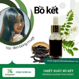 Chiết xuất bồ kết - Bí quyết tóc đen óng mượt