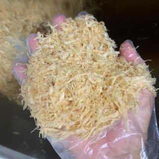 Chuyển Giao Kỹ Thuật Sản Xuất Chà Bông Chay Từ Nấm và Sườn Non Chay