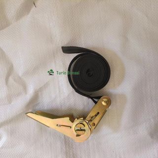 Dây cảo vải chăng hàng tăng đơ 25mm buộc ghế ngồi trẻ em chắc chắn tiện dụng