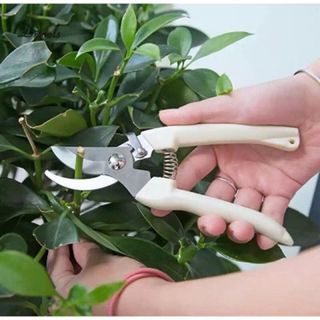 KÉO LÀM VƯỜN CẮT TỈA CÀNH LƯỠI THẲNG CÓ CHỐT CÀI