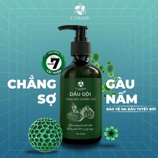 Dầu Gội Thảo Mộc CoXanh 300ml