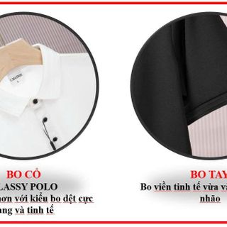 Áo Phông Nam Cổ Bẻ Basic Cotton Cao Cấp. Kiểu Dáng Hàn Quốc - Sang Trọng & Thanh Lịch