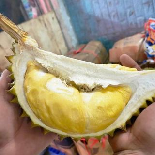 Sầu Riêng Ri6 Trái 3_5kg