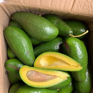 Bơ Sáp Không Tên_Size 2-3 trái/kg