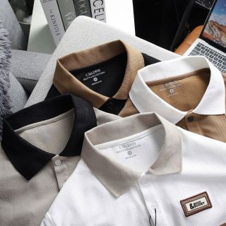 Áo Thun Nam Cổ Bẻ Cao Cấp, Chất Thun Gân Quảng Châu - Mềm Mịn, Thoáng Mát - Size 50 - 80Kg