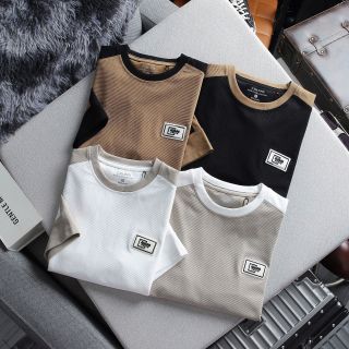 Áo Phông Nam Phối Màu Thanh Lịch - Chất Vải Thun Gân Quảng Châu