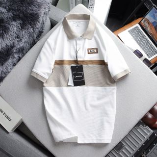 Áo Thun Polo Nam Cao Cấp, Thun Gân Quảng Châu Phối Màu Cao Cấp