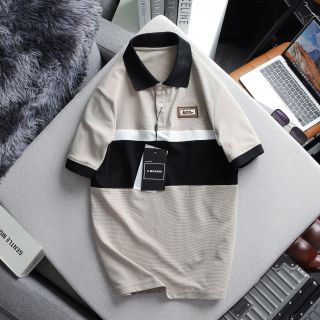 Áo Thun Polo Nam Cao Cấp, Thun Gân Quảng Châu Phối Màu Cao Cấp