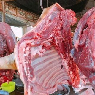 Thịt cừu tươi