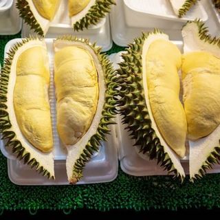 Sầu Riêng Thái Nguyên Trái