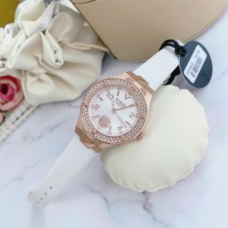 ĐỒNG HỒ NỮ CHÍNH HÃNG VESUS MẶT TRÒN DÂY CAO SU