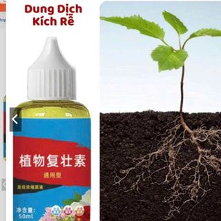 Dung dịch kích rễ
