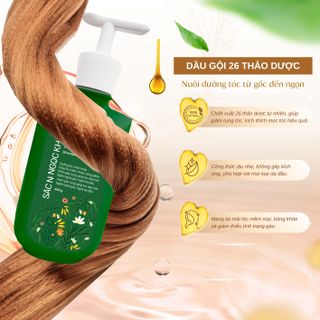 Dầu Gội 26 Loại Thảo Dược [350g] TẶNG 1 trong 2 quà