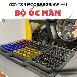 Bộ Ốc Rays Cho Xe Ô Tô, Combo Ốc Mâm Xe M12xP1.5 5H 17 Hex Phù Hợp Cho Các Dòng Xe Tặng Kèm Khóa Đai Ốc