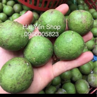 Quả SẤU XANH