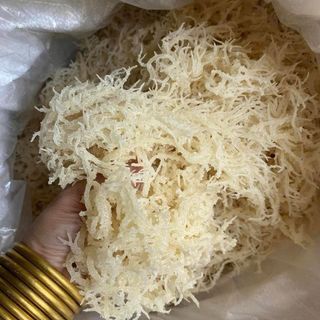 RONG SỤN BIỂN KHÔ – GIÒN RỤP, THANH MÁT, SIÊU BỔ DƯỠNG 500G - WINNIE HOUSE