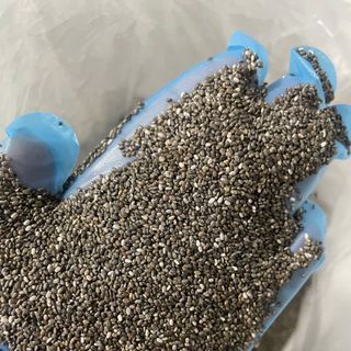 Hạt Chia - Hạt chia Ấn Độ Bao 25kg