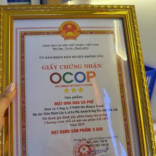 MẬT ONG HOA RỪNG TÂY NGUYÊN