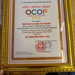 MẬT ONG HOA RỪNG TÂY NGUYÊN