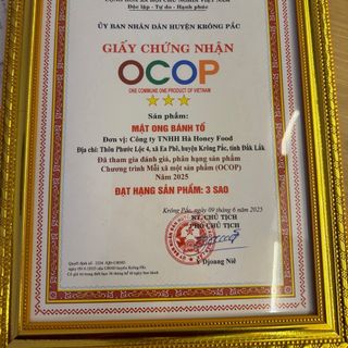 MẬT ONG HOA RỪNG TÂY NGUYÊN