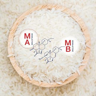 Gạo sạch & an toàn nhất Ong Biển