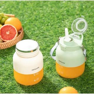 MÁY XAY SINH TỐ MINI TÍCH ĐIỆN OSTMARS 800ML