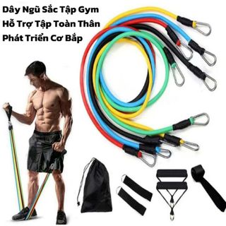 Bộ 5 Dây Ngũ Sắc Tập Full Body Tập Gym giá sỉ