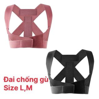 Đai Chống Gù Size L,M