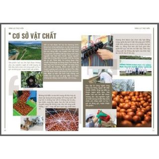 Nhân Mắc ca tẩm vị chocolate