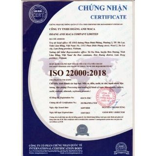 Nhân Mắc ca tẩm vị chocolate