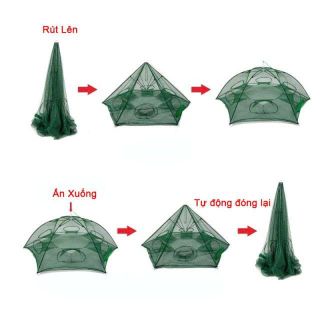 LƯỚI BẮT CÁ BÁT QUÁI 8 LỖ TIỆN DỤNG